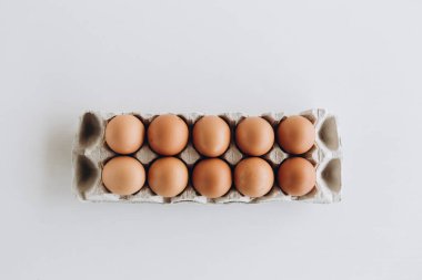 Yumurta protein sarısı tavuk Paskalya kabuğu modeli.