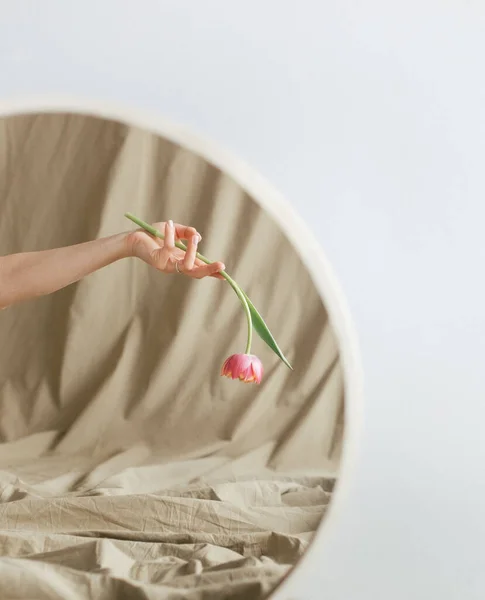 Flower Tulip Woman Hand Reflection Mirror White Background — Foto Stock