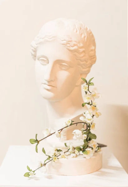 Statua Busto Afrodite Intonaco Scultura Arte Con Ramo Fiorito Aprico — Foto Stock