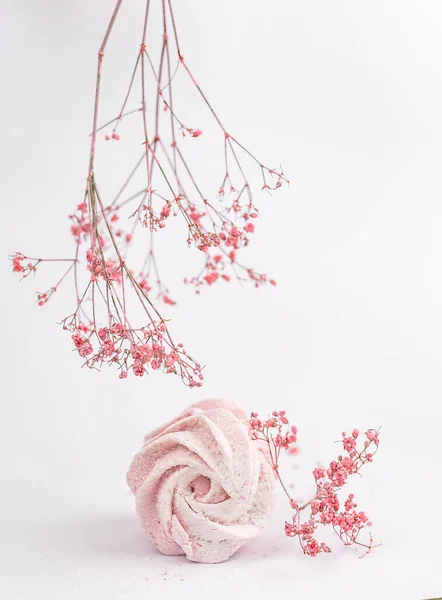 Marshmallow Gekleurd Fruit Roze Wit Zoet Dessert — Stockfoto