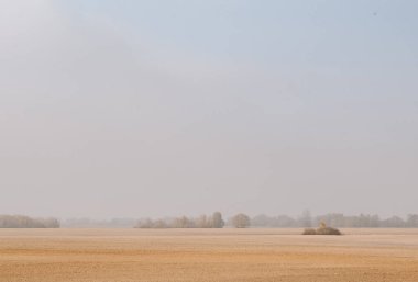 tarla çiftçiliği mevsiminde ekin ekimi ve toprak hazırlık