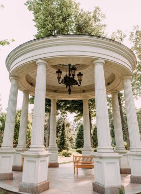 büyük ağaç gövdesi beton sütunlar koltuk süiti oturma alanı