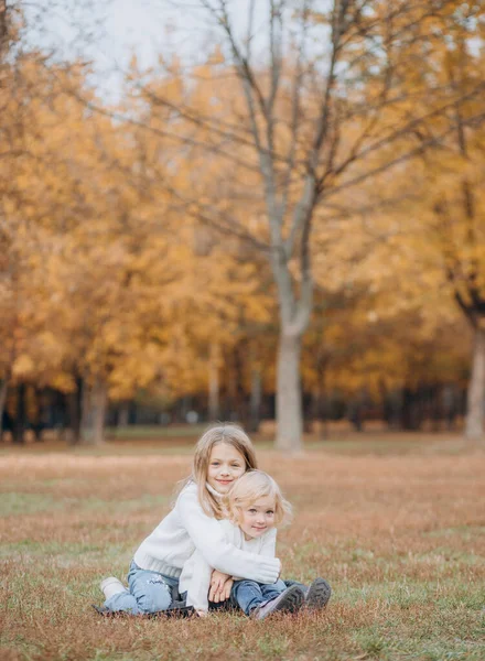 Niños Felices Juegan Parque Otoño Vomitan Licencia Caída —  Fotos de Stock