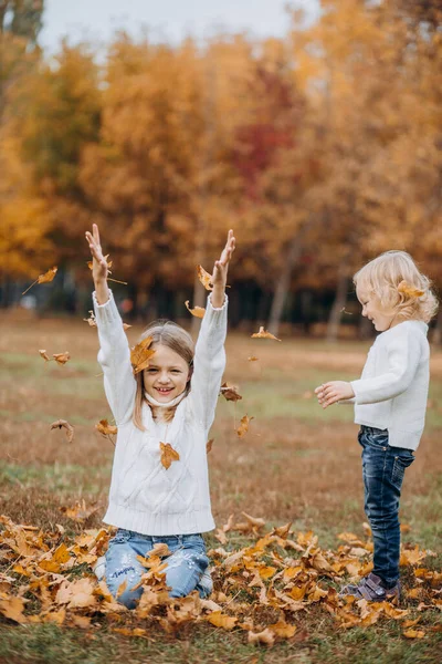 Boldog Gyerekek Játszanak Őszi Parkban Hányni Elesett Szabadság — Stock Fotó