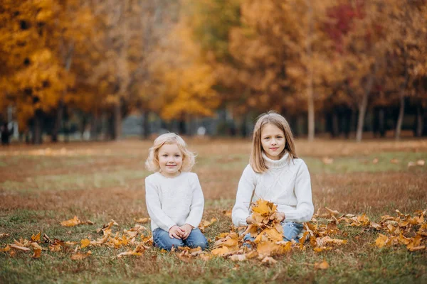幸せな子供たちは秋の公園で遊ぶ秋の休暇を投げる — ストック写真