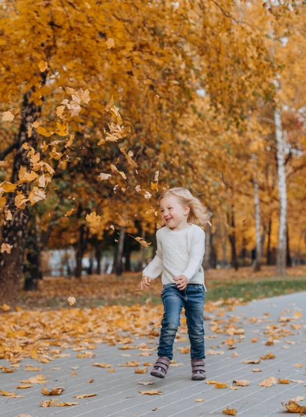 幸せな子供たちは秋の公園で遊ぶ秋の休暇を投げる — ストック写真