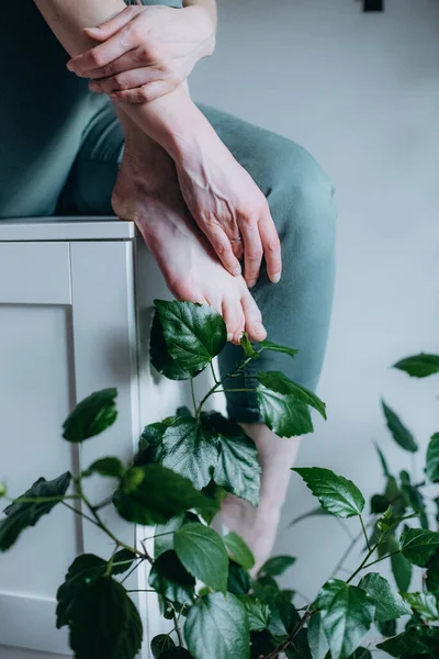 Indoor Planten Groene Bladeren Comfort Decor Gezondheid Klimaat — Stockfoto