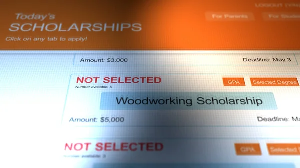 Genel Üniversite Burs Başvurusu Web Sitesi - Seçilmedi