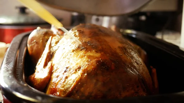 Tatil Festivali Serisi - Pişmiş Hindi Pişirme