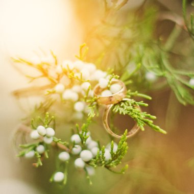 Güzel yeşil bitki üzerinde altın yüzük düğün