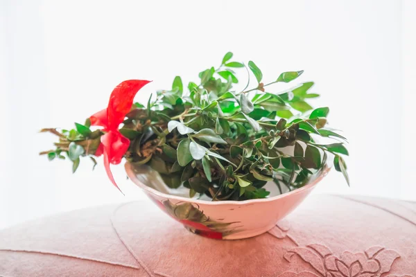 Bouquet verde in una ciotola con acqua — Foto Stock