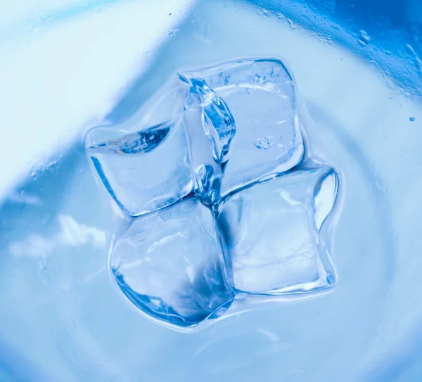 In a glass of ice — Stock Photo, Image