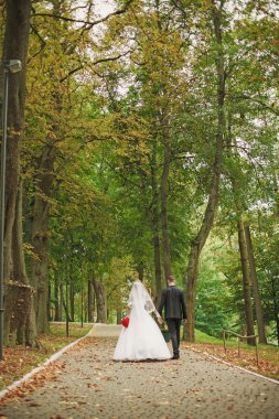 Sadece parkta yürüyüş evli