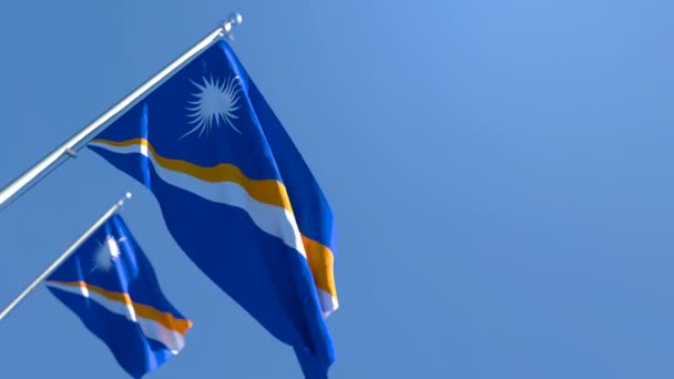 Marshall Adaları 'nın ulusal bayrağı rüzgarda dalgalanıyor. — Stok video