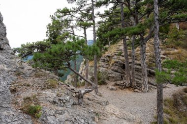 Ukrayna 'nın Kırım Cumhuriyeti' ndeki Stavri-Kaya Dağı 'ndaki ağaçlar ve kayalar. Bulutlu bir gün 13 Eylül 2020.