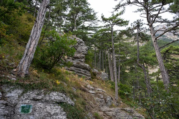 Stromy Skály Hoře Stavri Kaya Republice Krym Ukrajina Zataženo Září — Stock fotografie