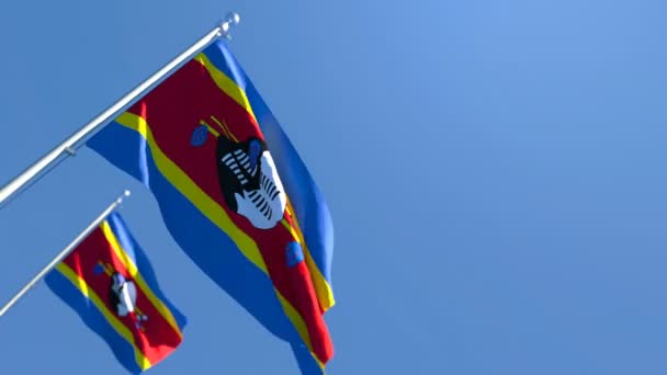 Flaga narodowa Suazi trzepocze na wietrze — Wideo stockowe