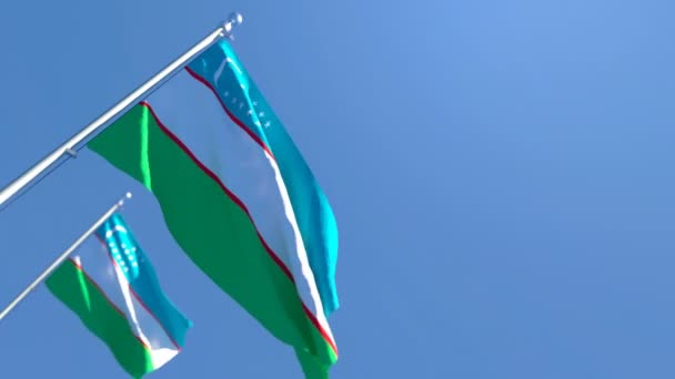 La bandera nacional de Uzbekistán ondea al viento — Vídeos de Stock