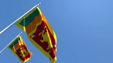 Sri Lanka 'nın ulusal bayrağı rüzgarda dalgalanıyor
