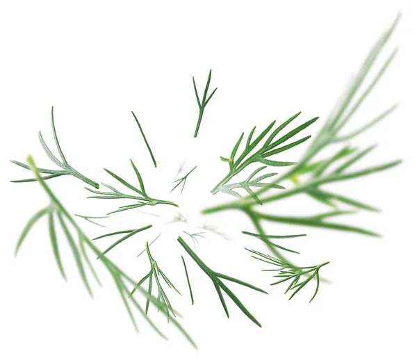Green sprigs of dill levitate on a white background — Stock Photo, Image