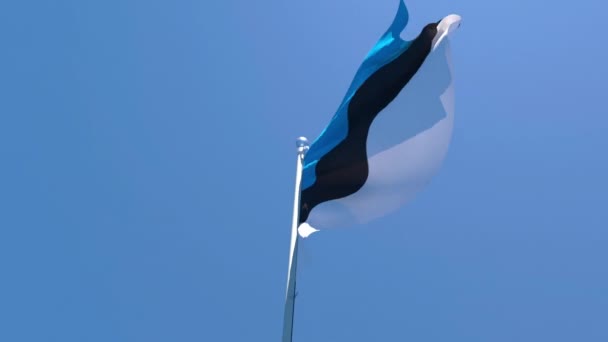 Естонський національний прапор виступає на вітрі проти неба. — стокове відео