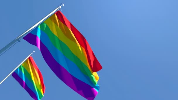 The flag of LGBT flutters in the wind — Stock Video