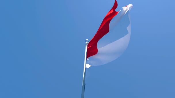 La bandera nacional de Indonesia ondea en el viento contra un cielo azul — Vídeos de Stock