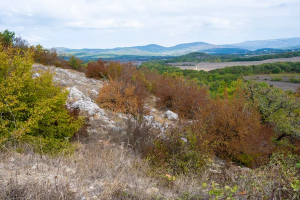 Pohled Les Hory Blízkosti Obce Orlinoe Krymská Republika Ukrajina Zataženo — Stock fotografie