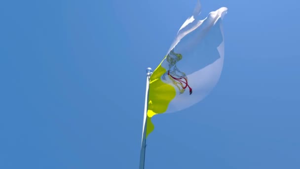 La bandera del Vaticano ondea en el viento contra un cielo azul — Vídeos de Stock