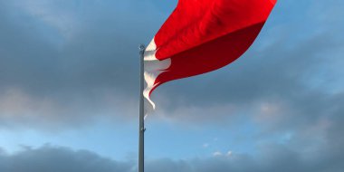 Bahreyn 'in ulusal bayrağının 3D yorumlanması