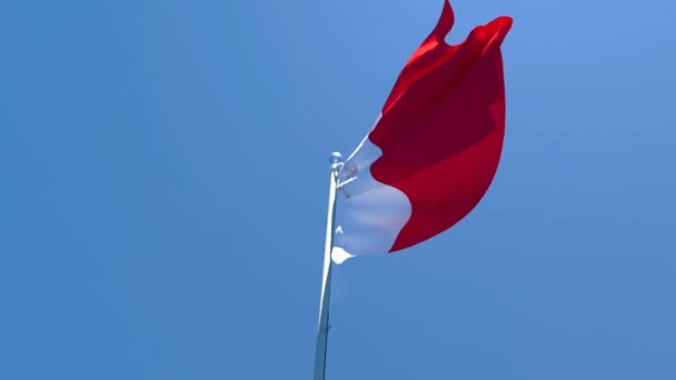 La bandera nacional de Malta ondea al viento — Vídeo de stock