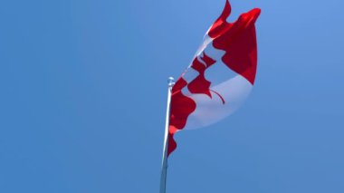 Kanada bayrağı mavi gökyüzüne karşı rüzgarda dalgalanıyor.