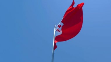 Tonga 'nın ulusal bayrağı mavi gökyüzüne karşı rüzgarda dalgalanıyor.