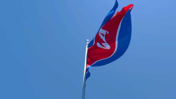 Flaga narodowa Korei Północnej wisi na wietrze przeciwko błękitnemu niebu — Wideo stockowe