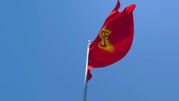 La bandera nacional de Kirguistán ondea en el viento contra un cielo azul — Vídeos de Stock