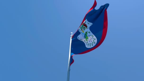 A bandeira nacional de Belize está voando no vento contra um céu azul — Vídeo de Stock