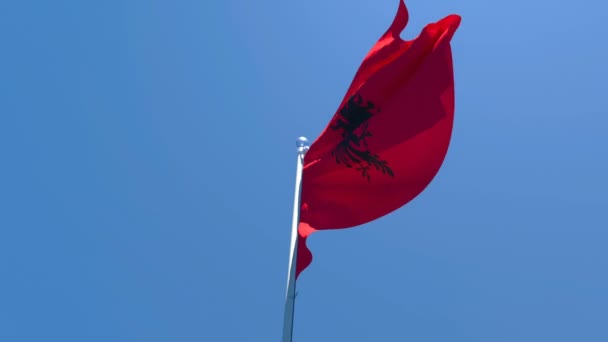 The national flag of Albania is flying in the wind against a blue sky — Stock Video