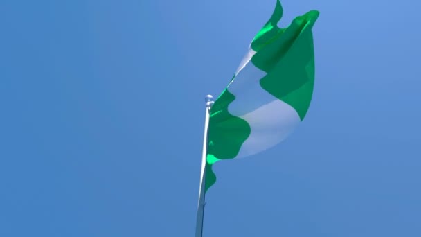 Nijerya 'nın ulusal bayrağı mavi gökyüzüne karşı rüzgarda dalgalanıyor. — Stok video