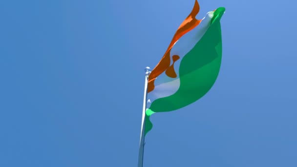 La bandera nacional de Níger ondea al viento — Vídeos de Stock