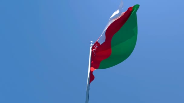 Bendera nasional Oman berkibar-kibar dalam angin — Stok Video