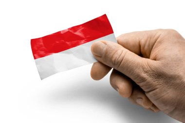Elinde ulusal bayrak olan bir kartla Endonezya