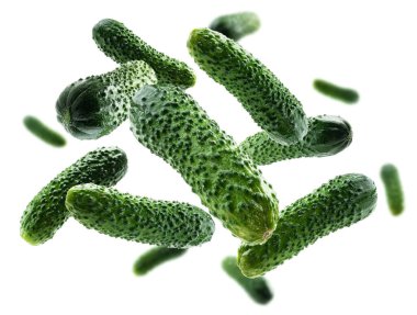 Beyaz arka planda yeşil salatalıklar uçar.