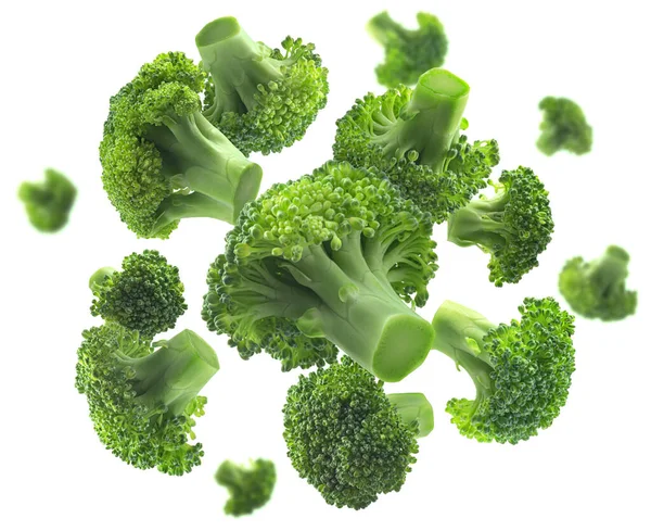 Green broccoli levitating on a white background — Stock Photo, Image