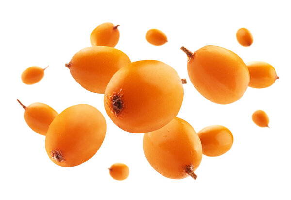 Ягоды облепихи левитируют на белом фоне