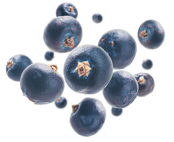 Juniper berries levitate on a white background — Stock Photo, Image