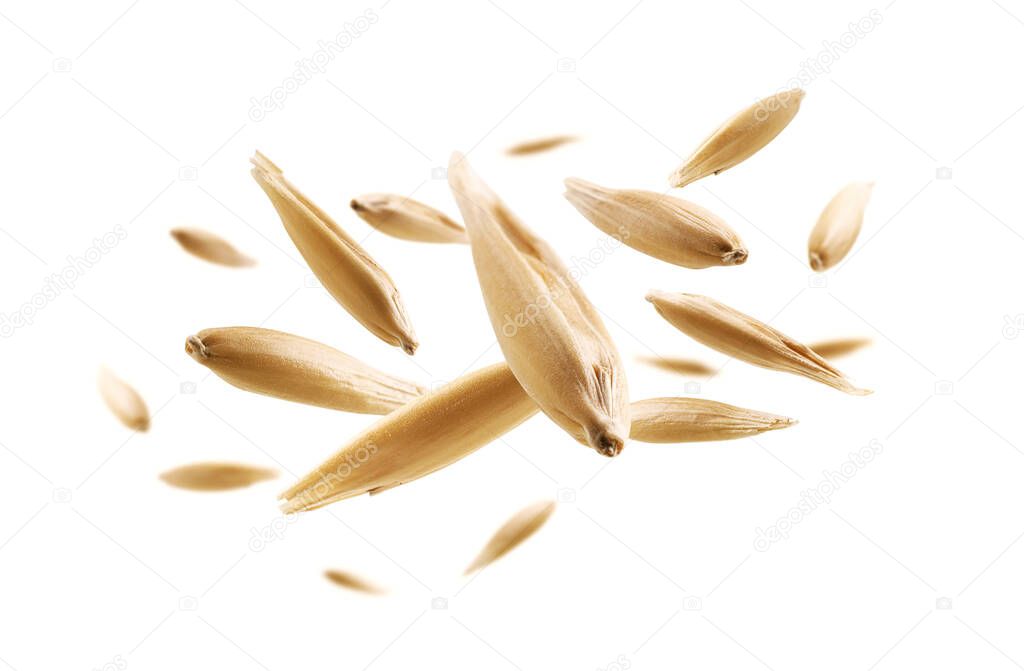 Oat grains levitate on a white background.