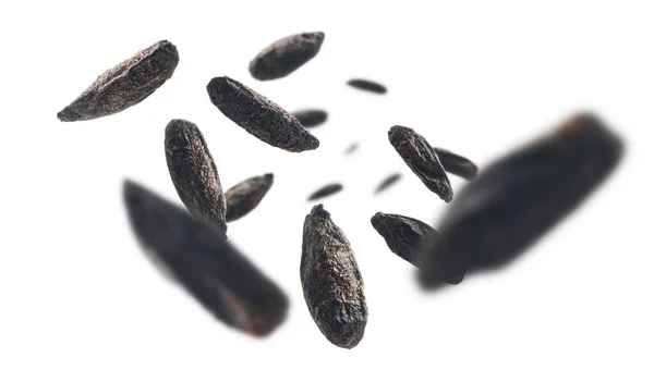 Geroosterde roggebrood mout granen zweven op een witte achtergrond — Stockfoto