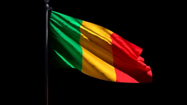 De nationale vlag van Mali wappert in de wind tegen een zwarte achtergrond — Stockvideo