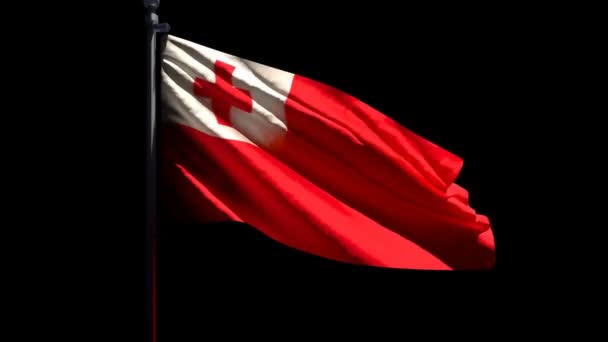 A bandeira nacional de Tonga está voando no vento contra um fundo preto — Vídeo de Stock
