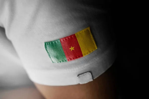 A Kamerun nemzeti zászlójának foltja fehér pólón — Stock Fotó
